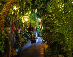 やんばるの森をイメージしました